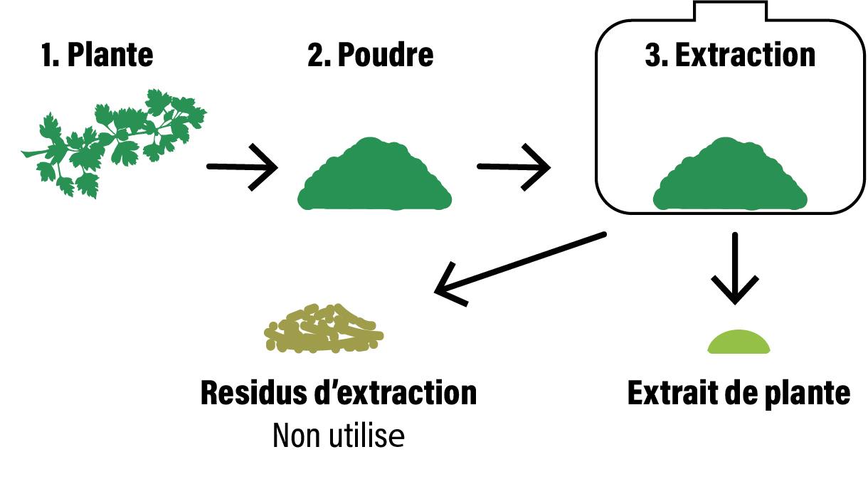 processus de l'extraction de plantes à partir de plantes fraiches ou sèche