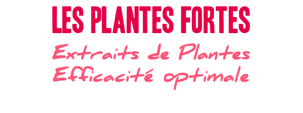 PLANTES FORTES Efficacité optimales Extraits de Plantes