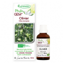 Olivier BIO Phyto'Gem