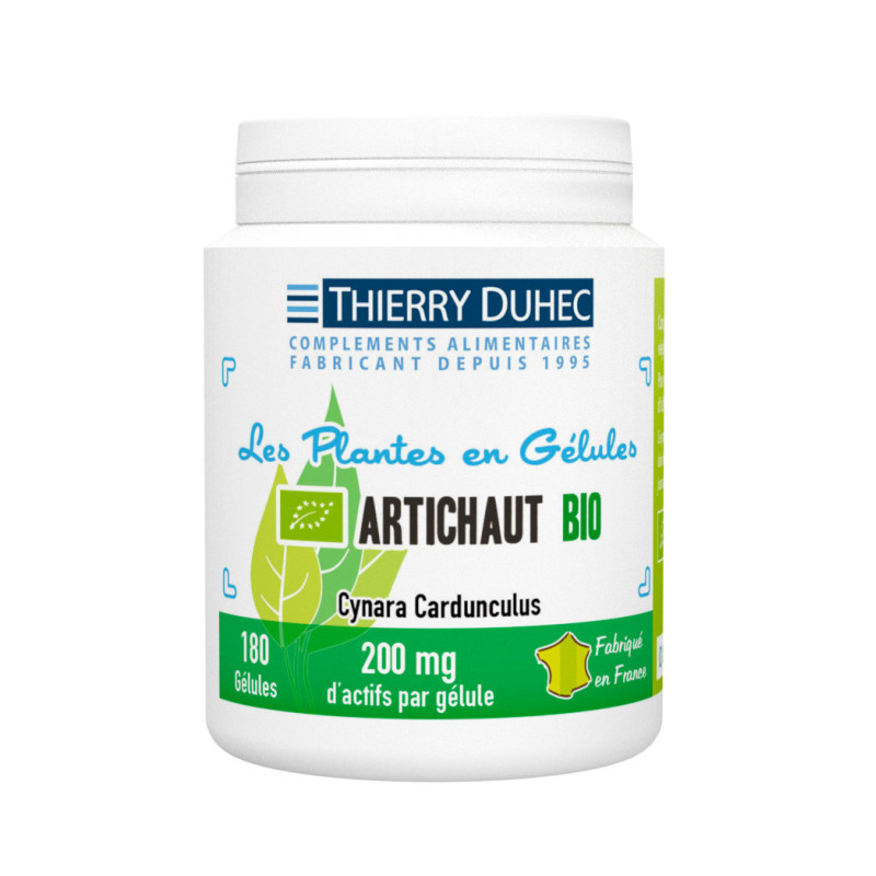 Artichaut BIO