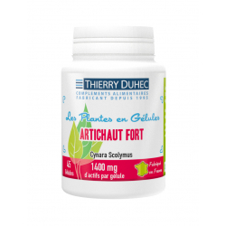 Artichaut Fort 1400 mg