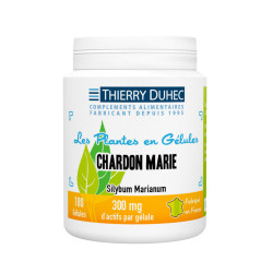 Chardon marie 