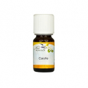 Carotte huile essentielle 10 mL