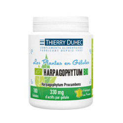 Harpagophytum BIO 330 mg