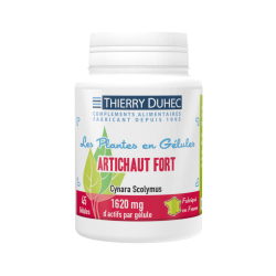 Artichaut Fort 1620 mg