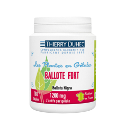 Ballote Fort