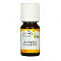 Eucalyptus Citronné BIO huile essentielle 10 mL