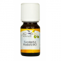 Eucalyptus Radiata BIO huile essentielle 10 mL