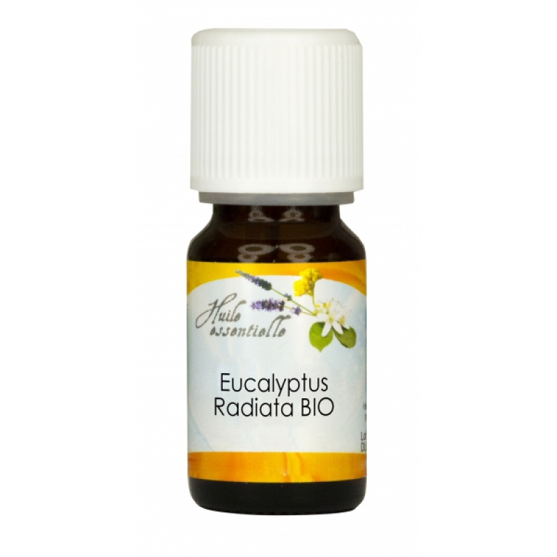 Eucalyptus Radiata - 10 ml - Biofloral