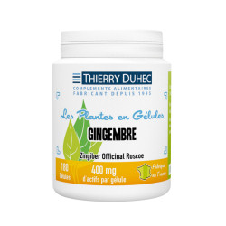 Gingembre 