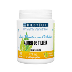 Aubier de tilleul 