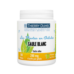 Saule blanc  280 mg