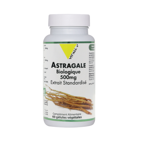 Astragale 500mg