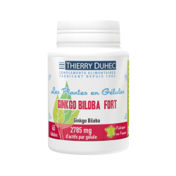 Ginkgo biloba Fort 2785 mg