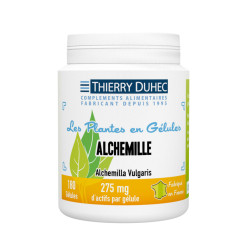 Alchemille