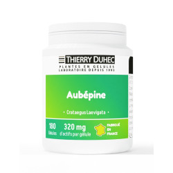 Aubépine 