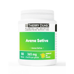 Avena sativa 