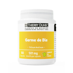 Germe de blé 