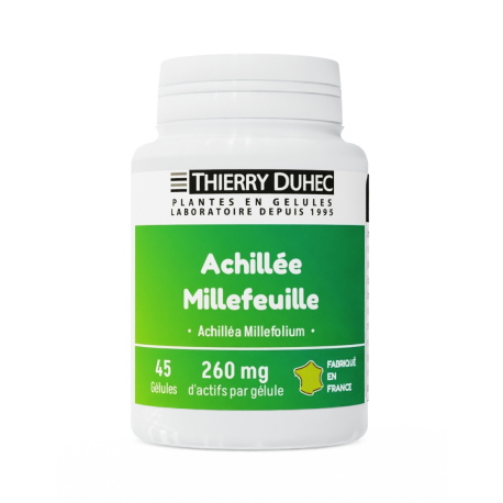 Achillée millefeuille