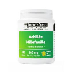 Achillée millefeuille