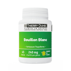 Bouillon blanc