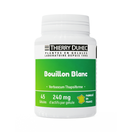 Bouillon blanc 
