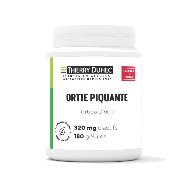 Ortie piquante