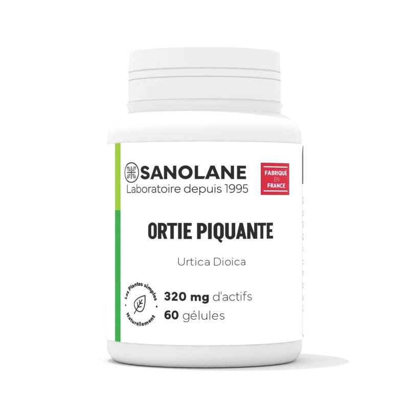 Ortie piquante