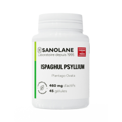 Ispaghul Psyllium 460 mg