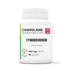 Cynorrhodon - Vit. C. 300 mg