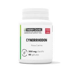 Cynorrhodon - Vit. C. 300 mg