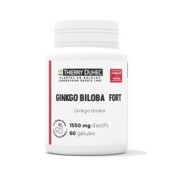 Ginkgo biloba Fort 1550 mg