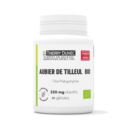 Aubier de tilleul BIO