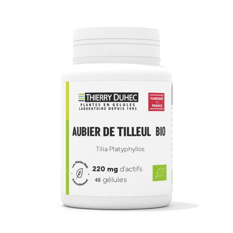 Aubier de tilleul BIO