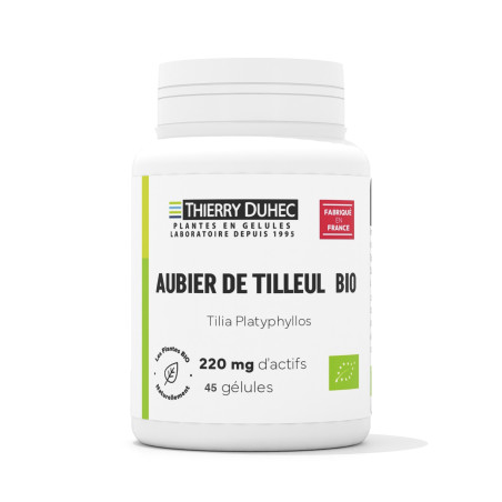 Aubier de tilleul BIO