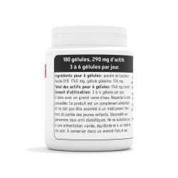 Baccharis 290 mg