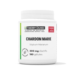 Chardon marie
