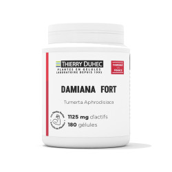 Damiana Fort