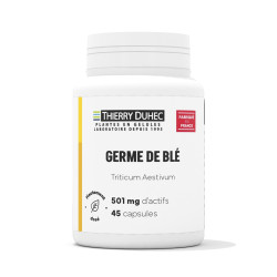 Germe de blé