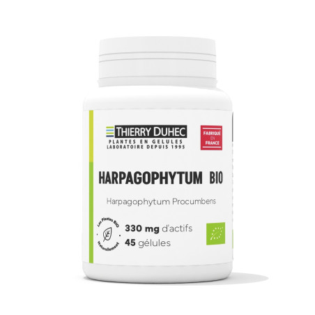 Harpagophytum BIO 330 mg