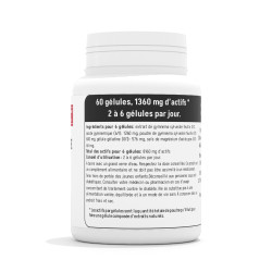 Gymnema Sylvestre Fort