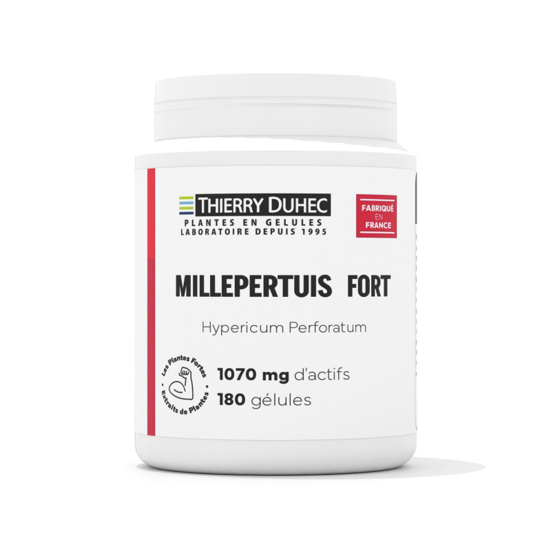 Millepertuis Fort
