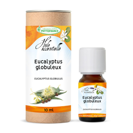 Eucalyptus Globulus BIO huile essentielle 10 mL