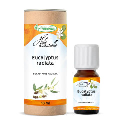 Eucalyptus Radiata BIO huile essentielle 10 mL