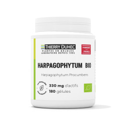Harpagophytum BIO 330 mg