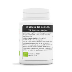 Harpagophytum BIO 330 mg