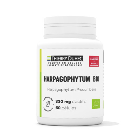 Harpagophytum BIO 330 mg