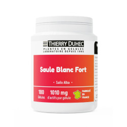 Saule Blanc Fort