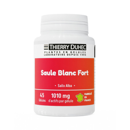Saule Blanc Fort