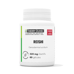 Reishi